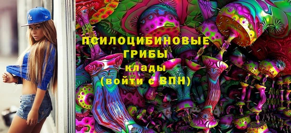 PSILOCYBIN Алексин