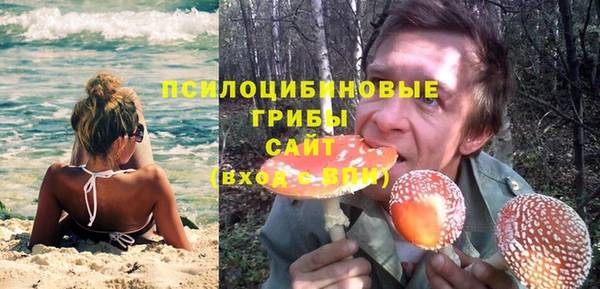 МДПВ Алексеевка