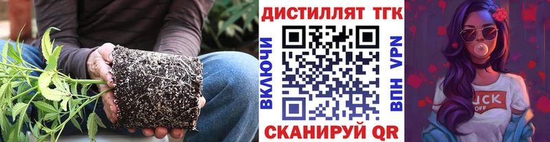 блэк спрут вход закладки Поронайск ТГК жижа