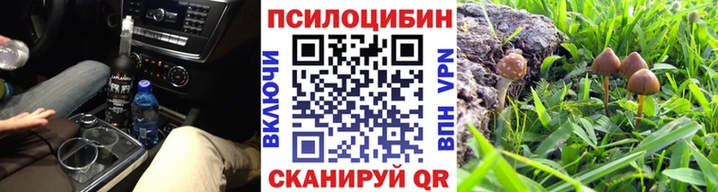 Галлюциногенные грибы Psilocybe  наркотики  Поронайск 